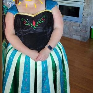 Plus size adult 2 piece costume - princess Anna (Frozen)